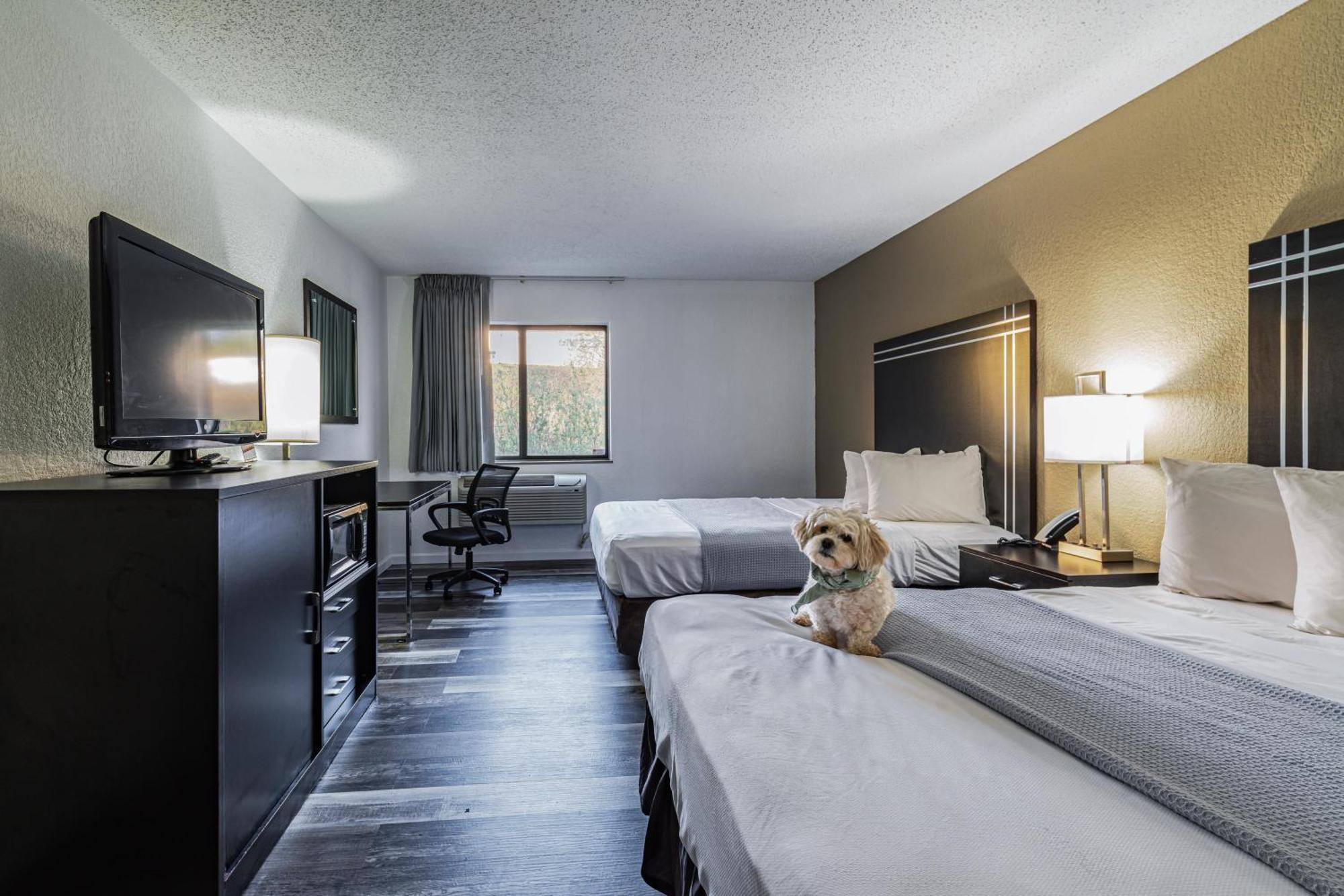 Econo Lodge Cleveland Southeast - Kent Стритсборо Экстерьер фото