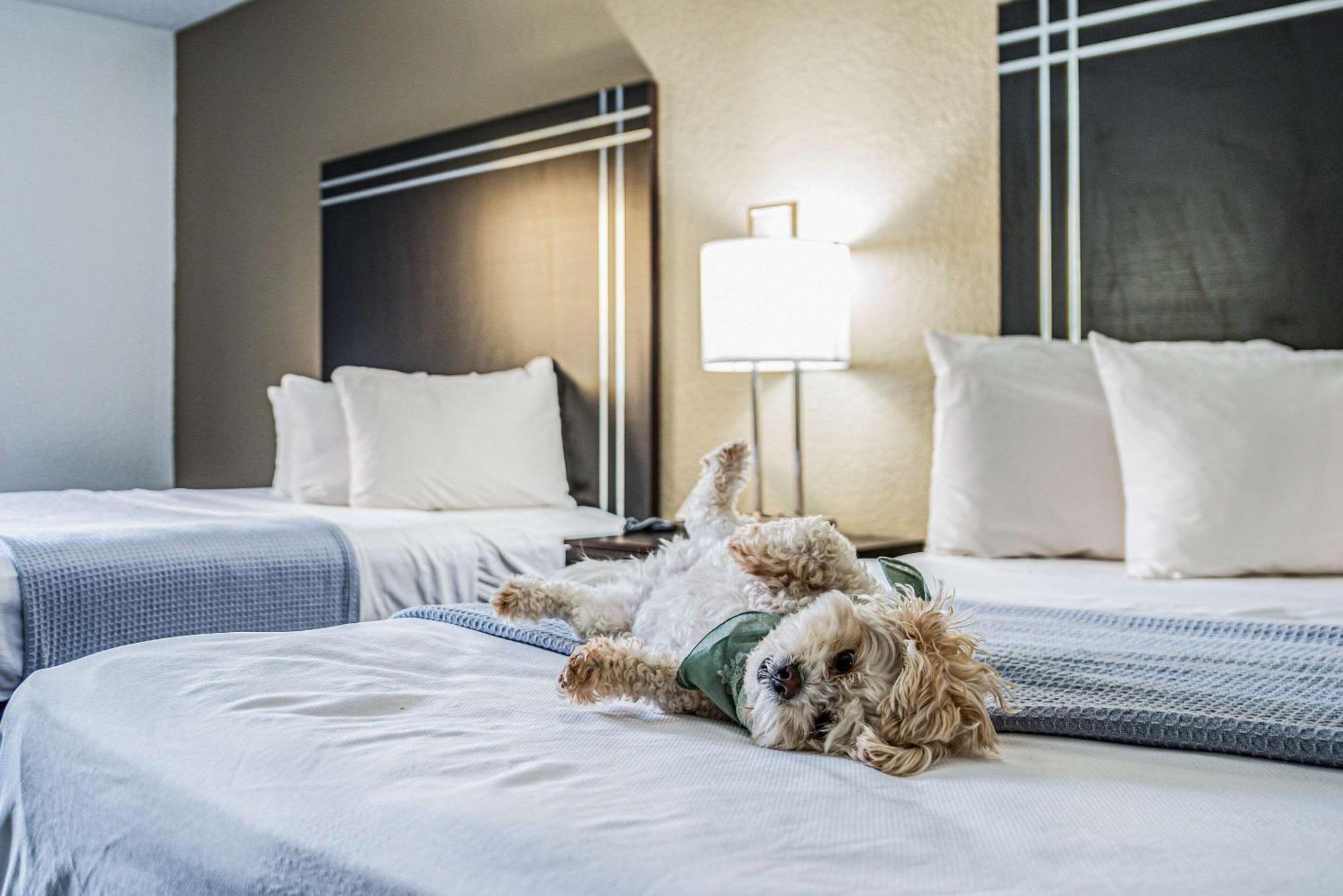 Econo Lodge Cleveland Southeast - Kent Стритсборо Экстерьер фото