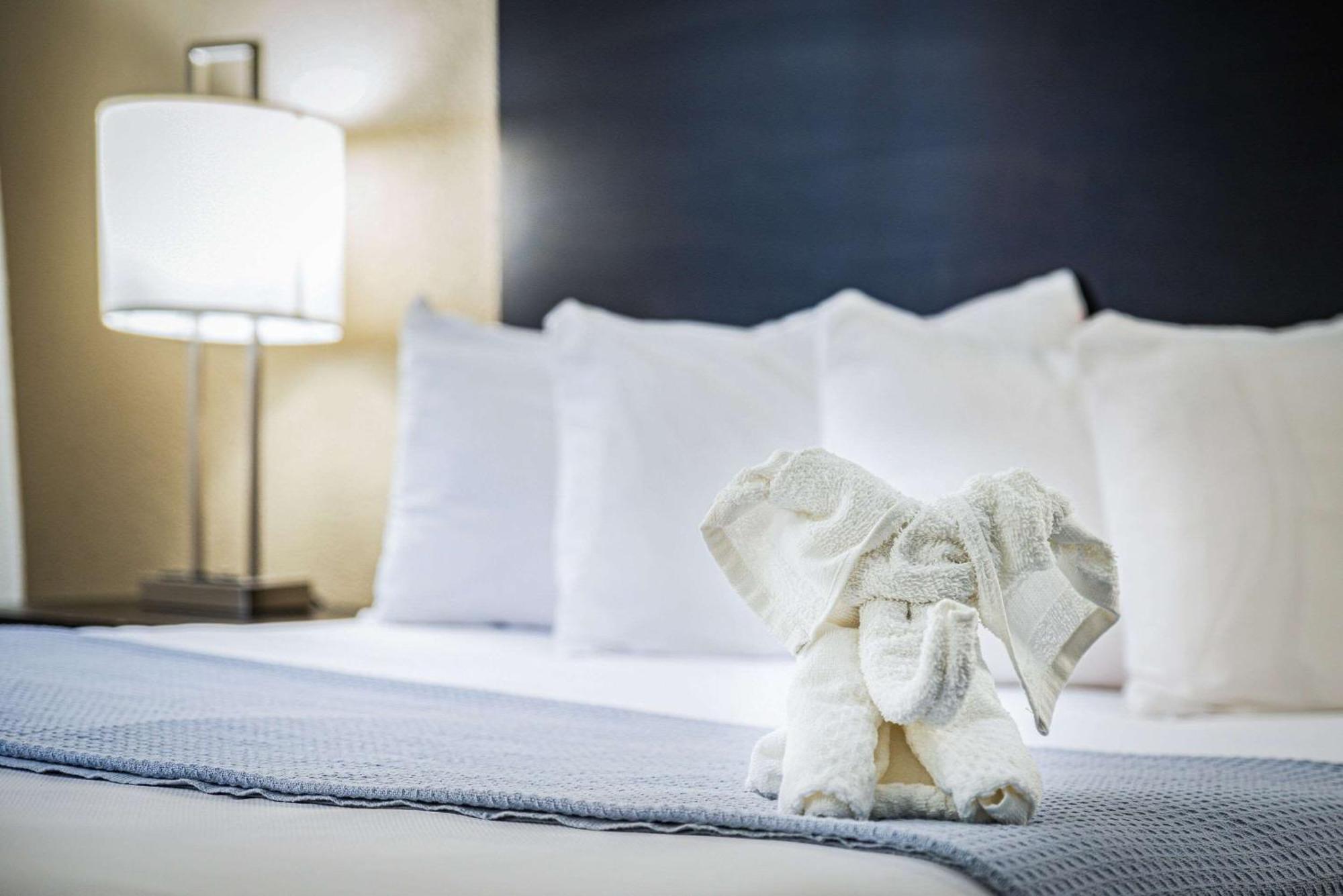 Econo Lodge Cleveland Southeast - Kent Стритсборо Экстерьер фото